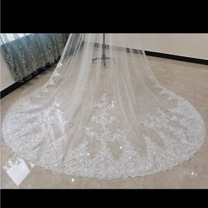 Sequined lace veil